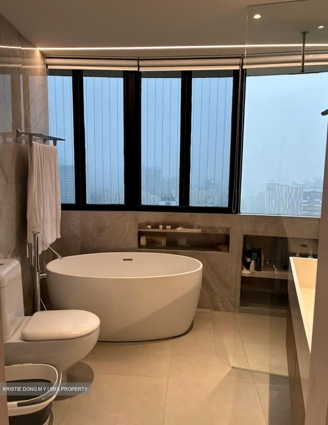 The Draycott (D10), Apartment #574280941